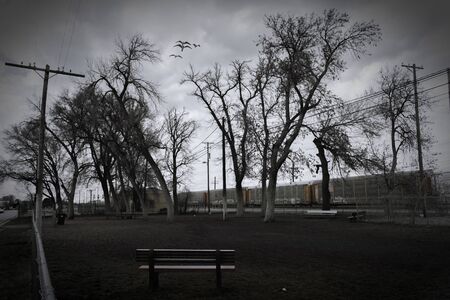 A dog park with dark evening skies and interesting leaning trees, sits next to railroad tracks in Pocatello, Idaho.の写真素材