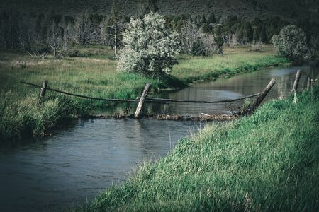 A rustic chain-link farm fence crosses a river, creating a dam that is catching debris like a dam.の写真素材
