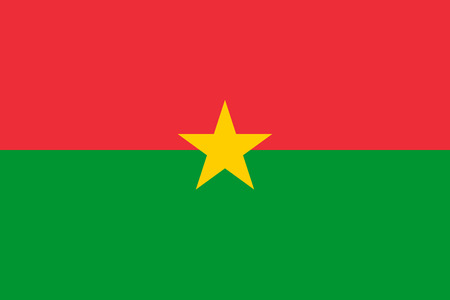 National flag of Burkina Faso in official colorsのイラスト素材