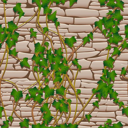 The green ivy on a stone wall, seamless abstract texture patternのイラスト素材