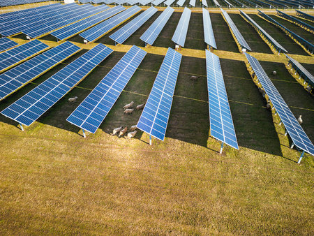 Solar panel produces green, environmentaly friendly energy from the setting sun. Aerial view from...