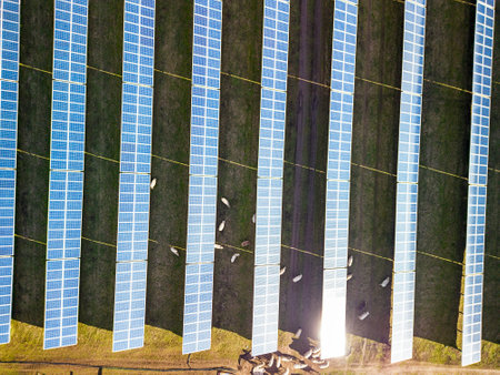 Solar panel produces green, environmentaly friendly energy from the setting sun. Aerial view from drone. Landscape picture of a solar plant that is located inside a valley with sheの写真素材
