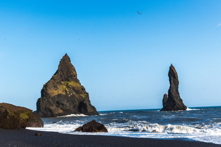 The dramatic Reynisfjara Beach features black volcanic sands and towering basalt sea stacks rising from the wild Atlantic Ocean in Icelandの写真素材
