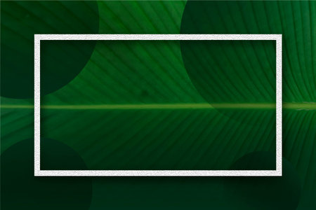 Green Calathea leaf with white paper note frame, nature flat lay concept