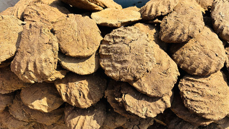 Cow dung cakes popularly known as gosse are from Rajasthan and are being used as alternative fuel for cooking in India Pile of dry cow dung cakes Drying on the sunの写真素材