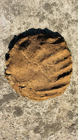 Cow dung cakes popularly known as gosse are from Rajasthan and are being used as alternative fuel for cooking in India Pile of dry cow dung cakes Drying on the sunの写真素材