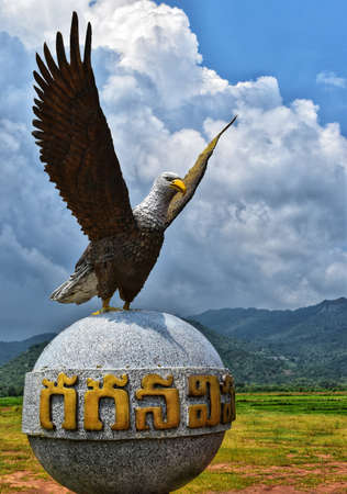 a eagle ready to flyの写真素材