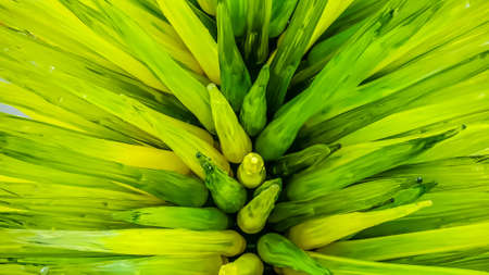 Abstract glass art with splashing and intricate colorsの写真素材