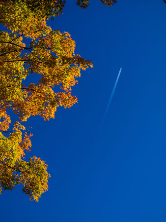 Fall is the most beautiful season in Central Canada with colors of the leaves changing from Yellow...
