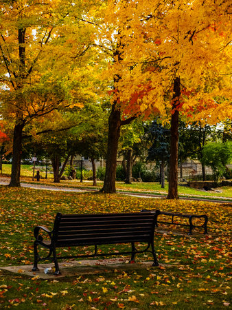 Fall is the most beautiful season in Central Canada with colors of the leaves changing from Yellow...