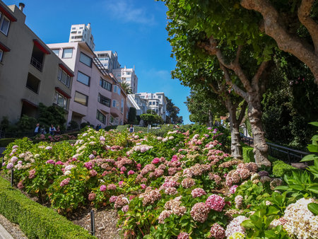 California is one of the largest and populous states of the US. It is also the richest of the US...