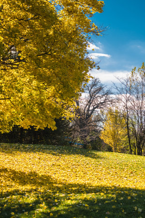 Stills from fall in Mississauga, ONの写真素材