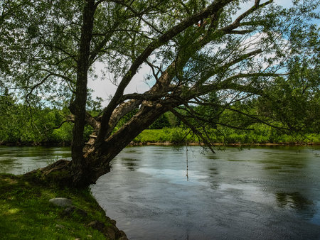 Scenery from Haliburton ON, Canadaの写真素材
