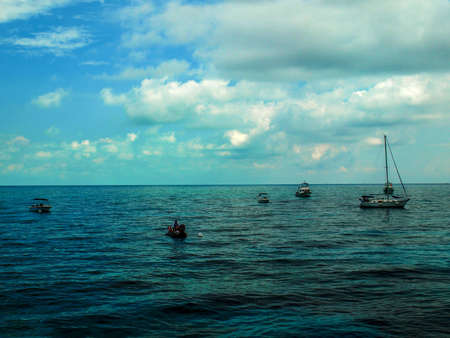 The world's remaining coral reefs - Key Largo, FL, USAのeditorial素材