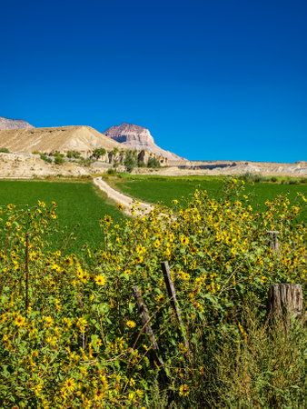 Utah is a beautiful state with a number of National parks in the US South west.の写真素材