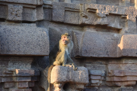 Manky on Ancient Architecture