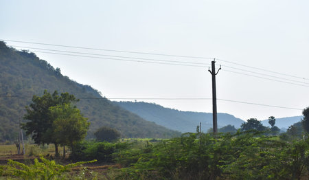 Beautiful Landscape