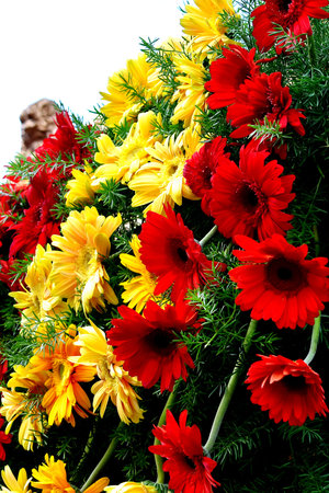 Bunch of fresh and colourful Flowers