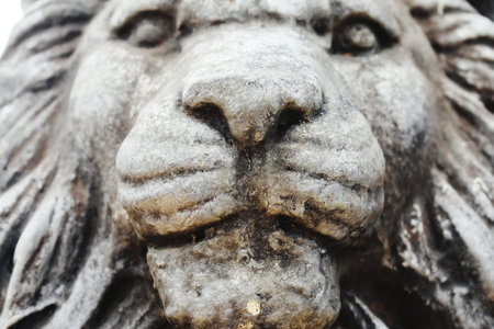 Close up of a lion head in a park in Paris, Franceの写真素材
