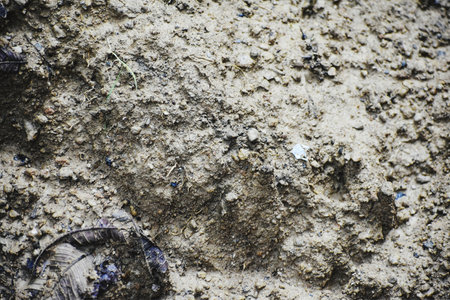Dirty and dirty earth background. Dirty and dirty earth texture.の写真素材