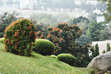 Beautiful view of the garden in Jaipur, Rajasthan, Indiaの写真素材