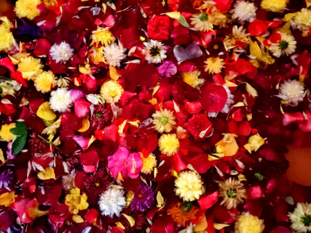 Colorful petals of flowers floating in the water as a backgroundの写真素材