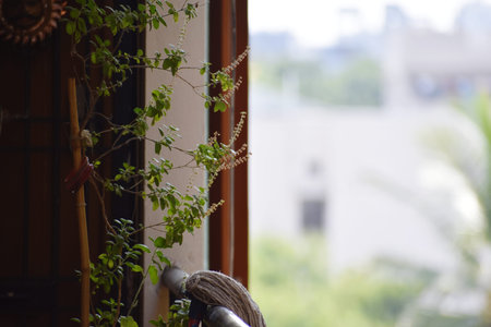Closeup of a window with plants in the foreground and a blurred background
