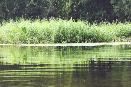 river with green grass and reflection in water - retro vintage style picture
