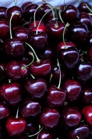 Black cherryの写真素材
