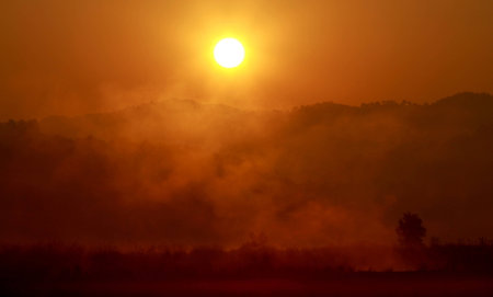 Sunrise at Corbettの写真素材