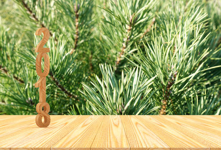 Wooden vertical number 2018 on wooden floor against the background of pine branches. 3D illustration