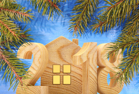 2018 wooden number and house icon with fir branches on blue background. 3D illustration