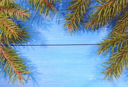 Christmas holiday background. Fir branches with space for text on a blue wooden background.