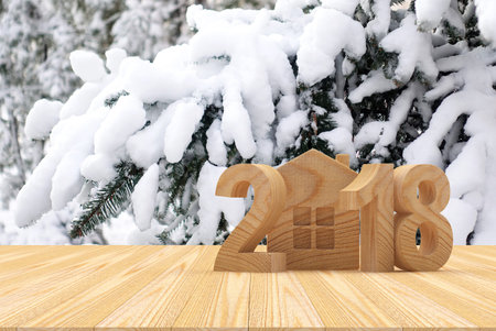 2018 wooden number and house icon with snow-covered fir branches and space for text. 3D illustration