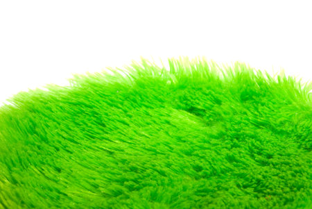 artificial soft grass on a white backgroundの写真素材