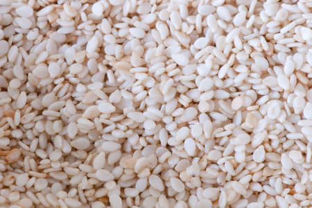 Background from sesame with small depth of sharpnessの写真素材