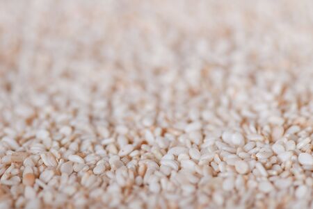 Background from sesame with small depth of sharpnessの写真素材