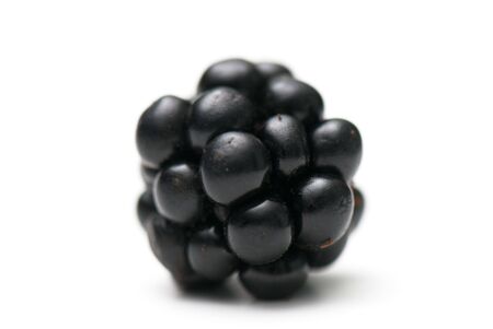 blackberry on the white isolated backgroundの写真素材