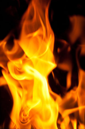 background from a fire, conflagrant firewoods and coals