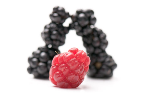 composition from a blackberry and raspberry on the white isolated background