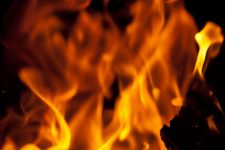 background from a fire, conflagrant firewoods and coals