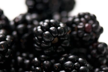 composition from a blackberry on the white isolated backgroundの写真素材