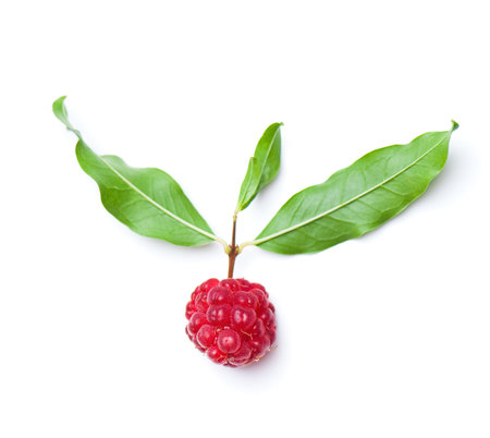 composition from a blackberry and raspberry on the white isolated background
