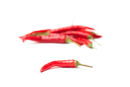 fragrant spices isolated on a white background. studio. の写真素材