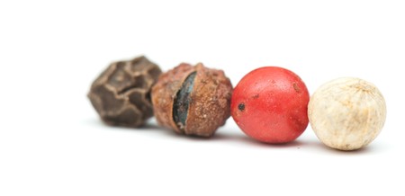 fragrant spices isolated on a white background. studio. photoの写真素材
