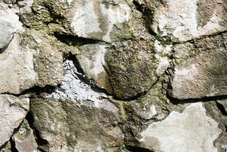 beautiful  abstract  high-quality texture as background for a design