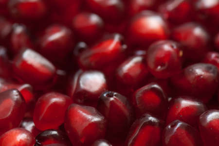 Macro of peeled ripe seeds pomegranate isolatedの写真素材