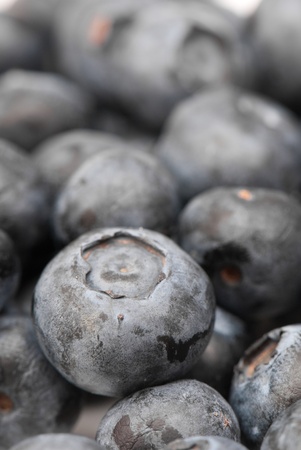 composition from a fresh bow whortleberry on the white isolated backgroundの写真素材