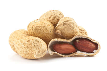 Composition from nuts on the white isolated backgroundの写真素材