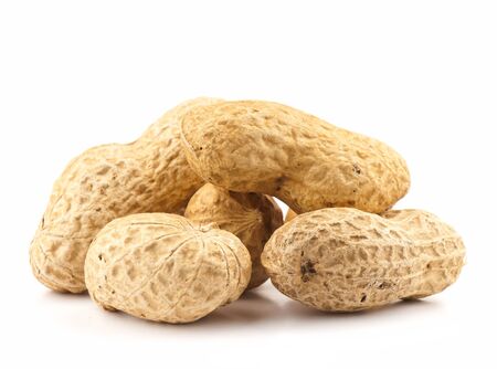 Composition from nuts on the white isolated backgroundの写真素材